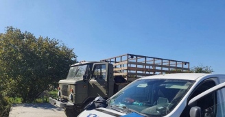 Фото Упрямая Шишига №7